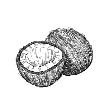 Coconut Milk