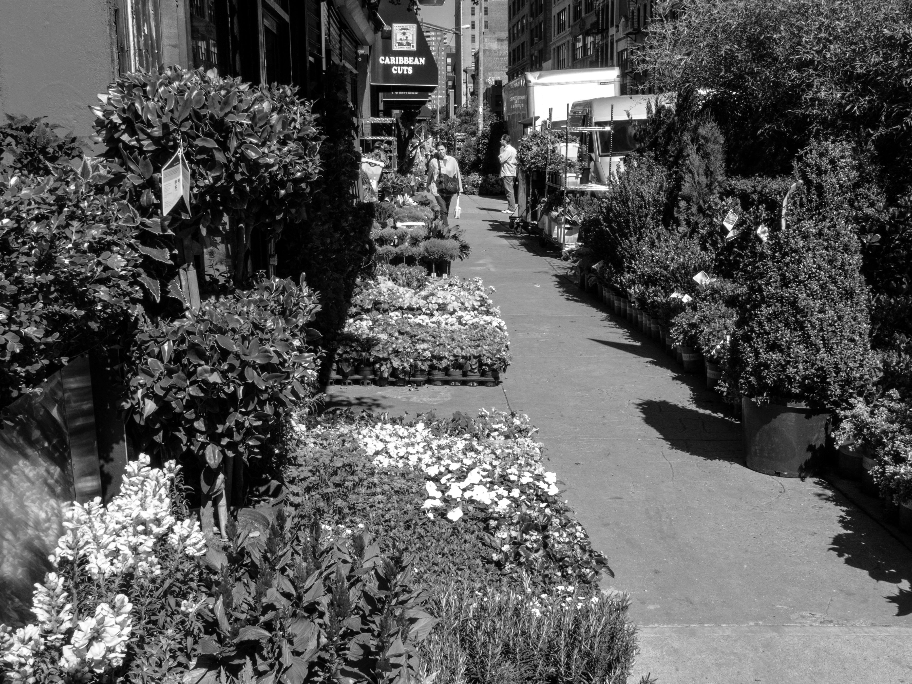 b&w image of the flower district in NYC