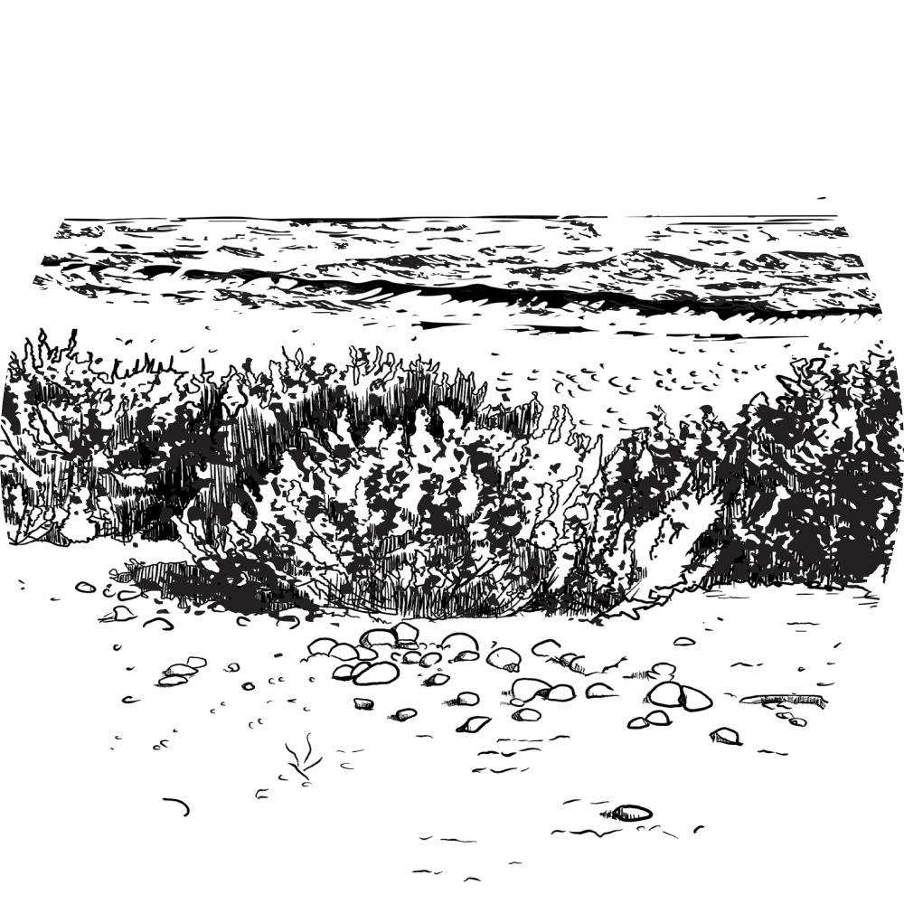 hatteras drawing