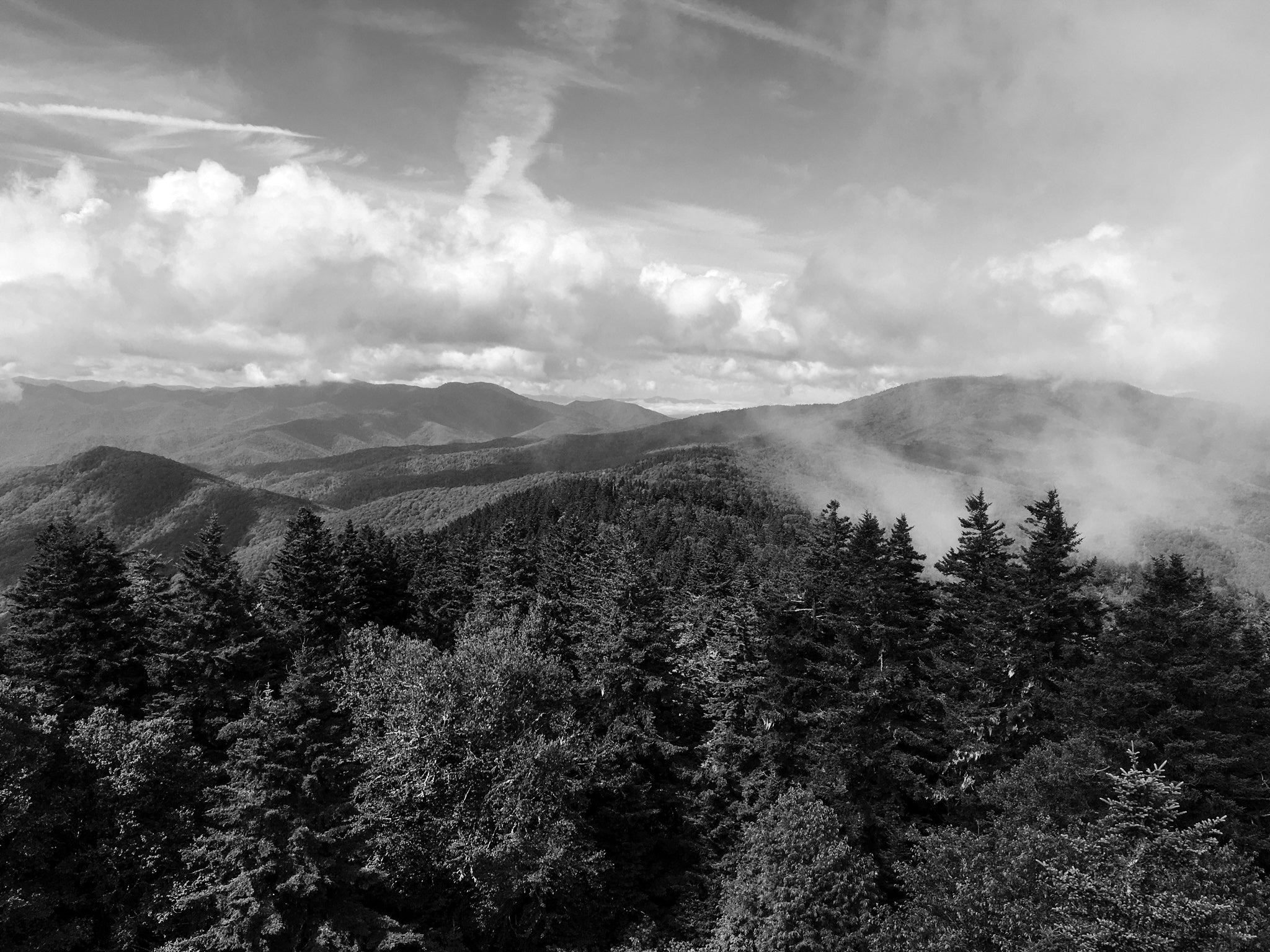 sky image of forest and mountains