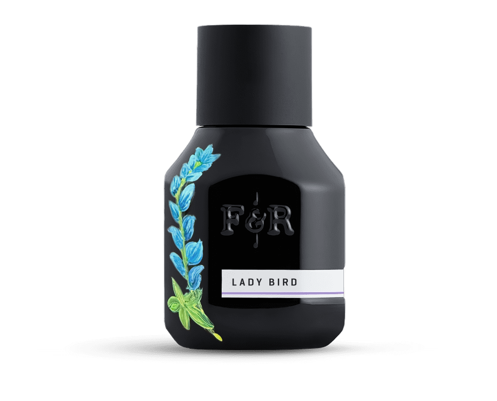 painted bottle of lady bird