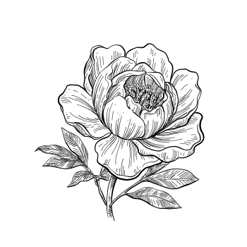 Peony
