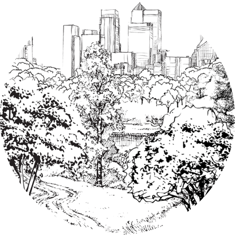 drawing of central park and NYC skyline