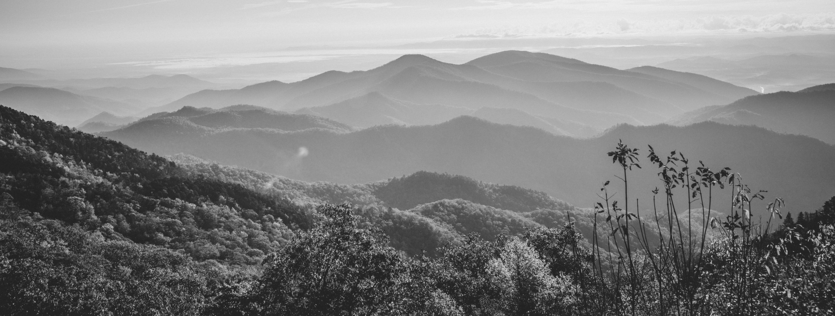 black and white image of mountains and mist