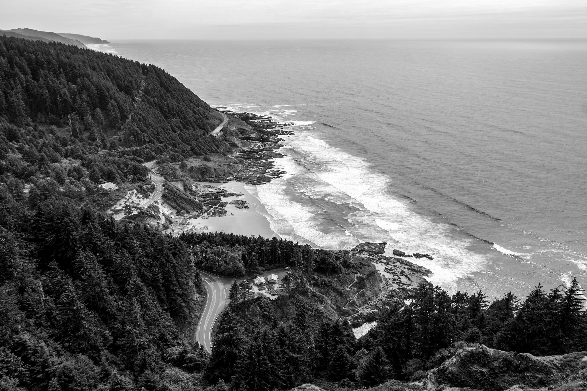 black and white image of beach and forest
