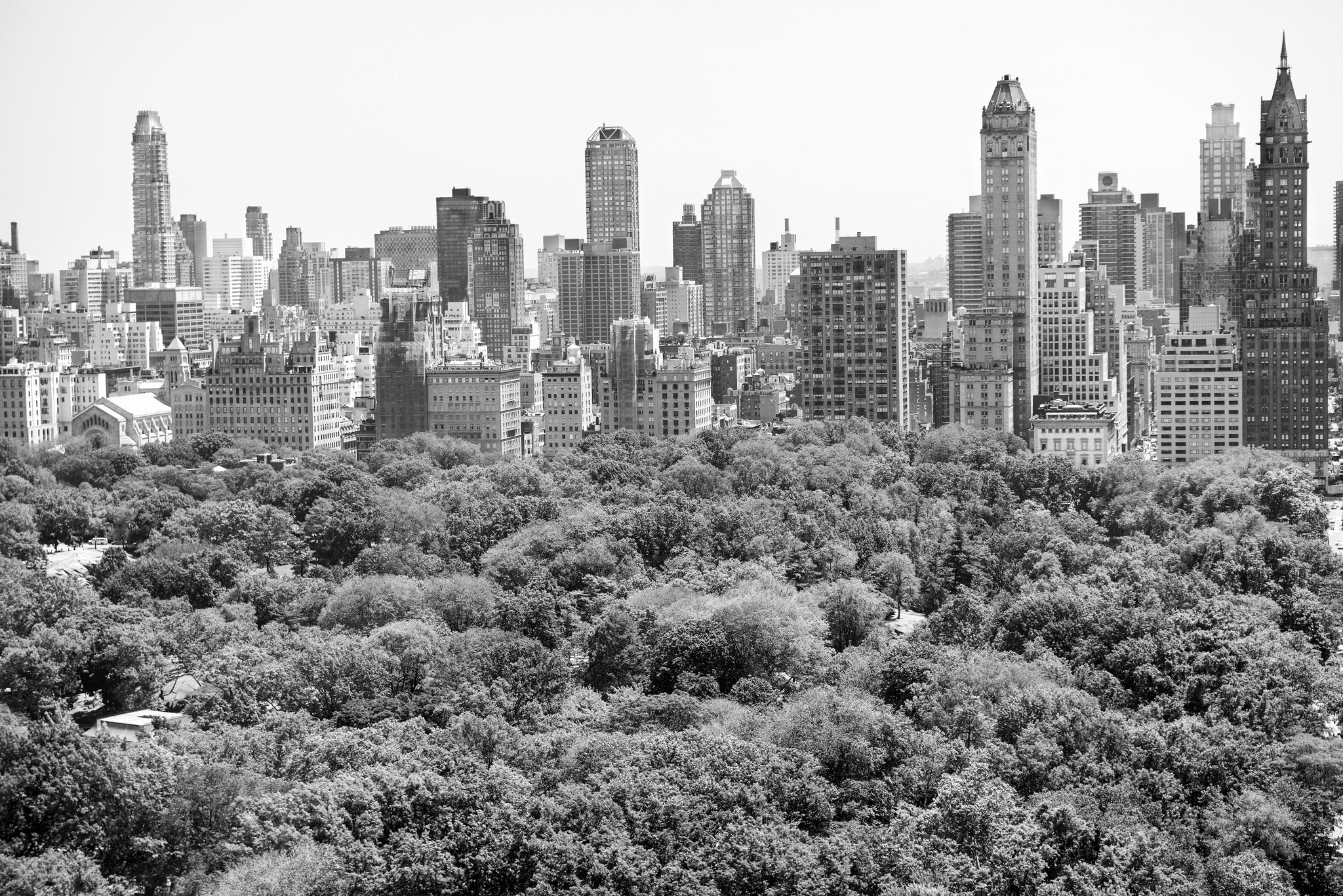 black and white image of central park and NYC skyline