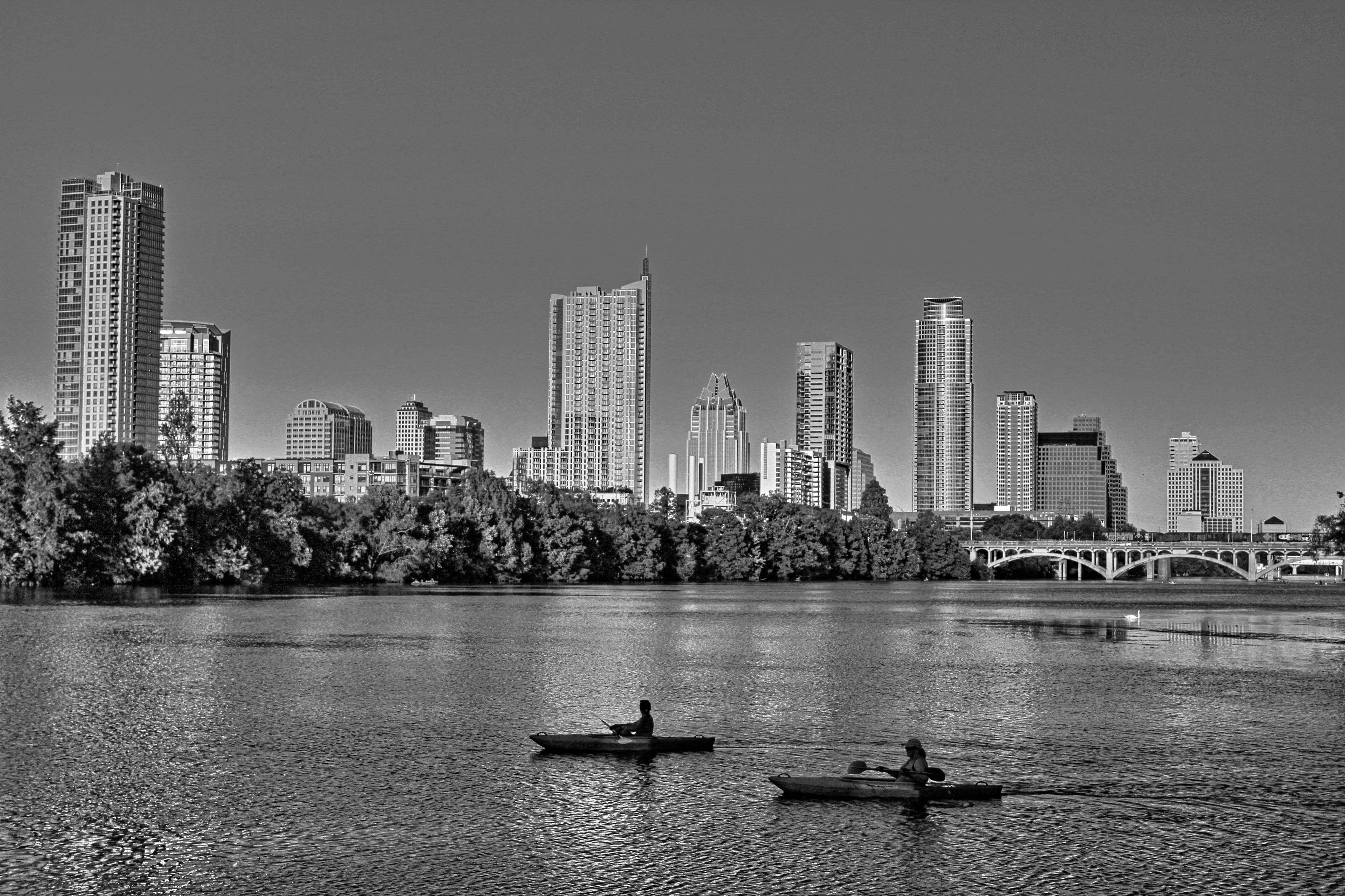 B&W image of lady bird lake
